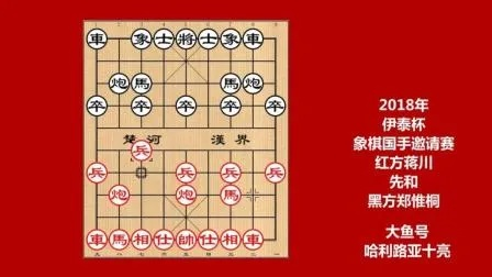 2018象棋比赛中如何正确使用棋钟？